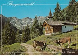 Cp , AUTRICHE , Alpe BODEN Bei AU Im Bregenzerwald Voralberg - Bregenzerwaldorte