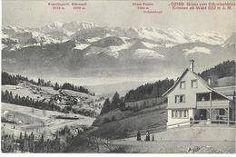 Gruss Vom Glärnischblick, KRINNEN Ob WALD 1911 - Wald