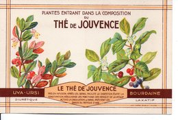 Illustrée The De Jouvence - UVA-URSI Et BOURDAINE - Piante Medicinali