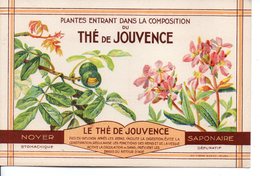 Illustrée The De Jouvence - NOYER-SAPONAIRE - Heilpflanzen