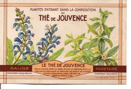 Illustrée The De Jouvence - SAUGE -   PARIETAIRE - Heilpflanzen