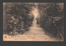 Brugelette - Institut De L'Enfant Jésus - Ecole Normale Et Pensionnat De Demoiselles - Allée De St. François Xavier - Brugelette