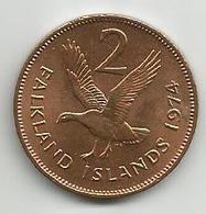 Falkland Islands 2 Pence 1974. - Malvinas