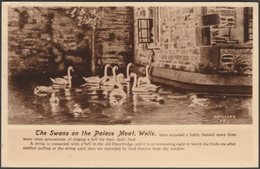 The Swans On The Palace Moat, Wells, Somerset, 1967 - Phillips Postcard - Wells