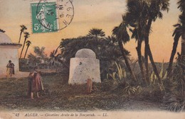 ALGERIE . ALGER . Cimetière Arabe De La Bouzaréah - Algerien