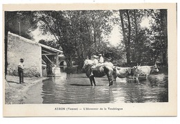 CPA  86 VIENNE  AYRON  L'Abreuvoir De La VENDELOGNE - Otros & Sin Clasificación