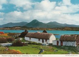 Cp , IRLANDE , Thatched Cottage, Near RENVYLE , CONNEMARA - Galway