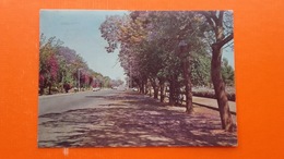 BULAWAYO,Rhodesia.Selborne Avenue - Simbabwe