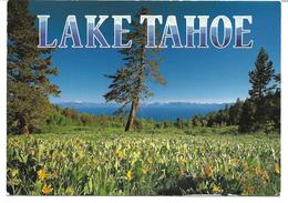 3070u: AK Lake Tahoe, Gelaufen Nach Österreich 2005 - Reno