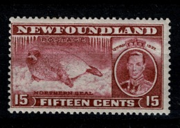 Ref 1289 - Canada Newfoundland 1937 Coronation 15c - SG 263c Perf 13.5 MNH Stamp Cat £21+ - 1908-1947