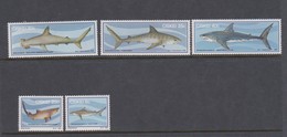 South Africa-Ciskei Scott 54-58 1983 Sharks, Mint Never Hinged - Ciskei
