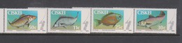 South Africa-Ciskei Scott 69-72 1985 Game Fish, Mint Never Hinged - Ciskei