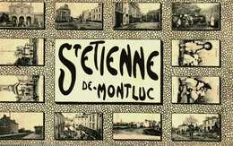 44...loire Atlantique...st Etienne De Montluc...vues - Saint Etienne De Montluc