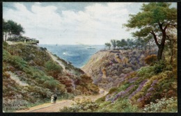 Ref 1291 - J. Salmon ARQ A.R. Quinton Postcard - Durley Chine Bournemouth Ex Hampshire Dorset - Bournemouth (bis 1972)