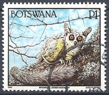 Bothswana, 1992 Mohol Bushbaby, 1P # S.G. 752 - Michel 531 - Scott 532  USED - Botswana (1966-...)