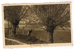 Kwaremont, Hoogstad (pk59368) - Kluisbergen