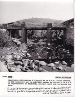 ALGERIE / PROPAGANDE 1959.1961 / MAGNIFIQUE PHOTO 18X24 / S.A.S / AIN SEYMOUR / PONT SUR LA MEDJERBA - Professions