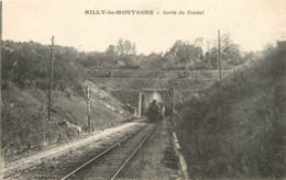 RILLY LA MONTAGNE SORTIE DU TUNNEL PASSAGE DU TRAIN - Rilly-la-Montagne