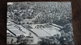 CPSM DOUBLE POLYNESIE FRANCAISE TARAVAO CENTRE OCEANOLOGIQUE DU PACIFIQUE MEILLEURS VOEUX  A SYLVAIN - Polynésie Française