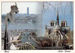 Carte Grand Format  PARIS (75) Cathédrale Notre-Dame 1163-1260 Flèche Tombée Le 15-04-2019-GARGOUILLE -Eglise-Religion - Churches