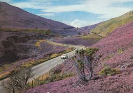 Cp , ECOSSE , The Slochd Pass Between CARRBRIDGE And INVERNESS - Inverness-shire