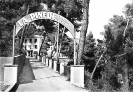 SCLOS De CONTES - Maison De Repos Pour Convalescents "la Pinède" - Philatélie Cachet Hexagonal - Contes