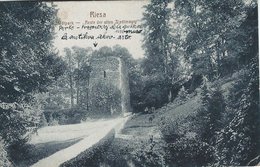Riesa - Stadtpark - Reste Der Alten Stadtmauer. Sent To Denmark 1931. S-4738 - Riesa