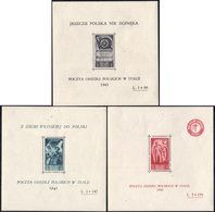 FOGLIETTI 1946 - Soccorso Di Guerra (2/4), Gomma Originale, Linguelle Sui Bordi, Perfetti.... - 1946-47 Zeitraum Corpo Polacco