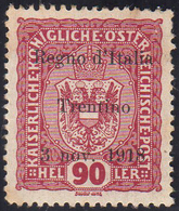 TRENTINO ALTO ADIGE 1918 - 90 H., Soprastampato (14), Gomma Integra, Lievi Ingiallimenti. Cert. Avi.... - Andere & Zonder Classificatie