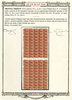 TRENTO E TRIESTE ESPRESSI 1919 - 25 Cent. Su 25 Cent., Doppio Foglio Verticale Di 100 Esemplari Unit... - Altri & Non Classificati