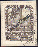 FIUME 1921 - 3 Lire Costituente Fiumana (173) "C" Inclinata In Modo Anomalo, Usato Su Piccolo Framme... - Sonstige & Ohne Zuordnung