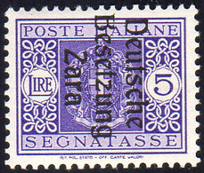 ZARA SEGNATASSE 1945 - 5 Lire, Errore Tipografico "B" Tagliata In Alto (11f), Gomma Integra, Perfett... - Other & Unclassified