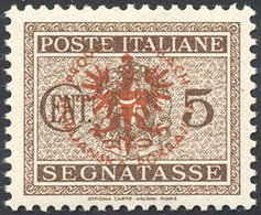 LUBIANA OCC. TEDESCA SEGNATASSE 1944 - 5 Cent. Soprastampa Arancio Bruno (1A), Gomma Originale Integ... - Altri & Non Classificati