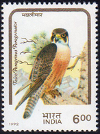 INDIA 1992 - 6 R. Falco Peregrinus, Serie Uccelli, Dicitura Errata In Indiano Pandion Haliaetus, Anz... - Altri & Non Classificati