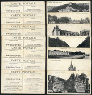 TOPIC MEDICINE: 7 Old PCs With Views Of French Castles, All With Advertising For Medicine On Back (products Of The Pharm - Health