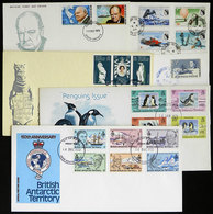 BRITISH ANTARCTIC TERRITORY: 6 Covers (almost All FDC) Of Years 1969 To 1980, Very Thematic, VF Quality! - Briefe U. Dokumente