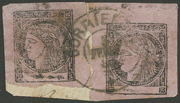ARGENTINA: GJ.16, Lilac-rose, 2 Examples On Fragment With Double Circle Cancel Of Corrientes 3/FE/1880, VF! - Corrientes (1856-1880)