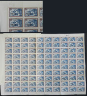 ARGENTINA: GJ.667, Complete Sheet Of 100 Examples. Folded And Mounted On Album Page (with Hinges On Some Stamps), VF Qua - Oficiales