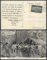 ARGENTINA: Spectacular Postcard: "Workers And Foremen Selecting Yerba For The Mitre Brand", Franked With 4c. Centenary ( - Préphilatélie