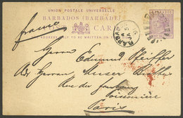 BARBADOS: 1½p. Postal Card Sent To France On 5/JA/1891, Minor Faults, Very Nice! - Barbados (1966-...)