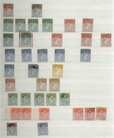 FALKLAND ISLANDS/MALVINAS: Stockbook With Old And Modern Stamps, Used And Mint (without Gum, Lightly Hinged Or MNH), Fin - Falkland