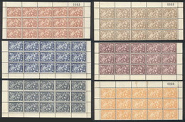 URUGUAY: Year 1911, 2c. To 50c. In Unmounted Blocks Of 15. Each Block Has WATERMARKED Stamps: 2c. (2), 5c. (6), 8c. (1), - Uruguay
