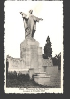 Dison - Monument Du Sacré Coeur - Inauguré Le 31 Juillet 1927 - Dison