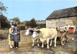 58-CHATEAU-CHINON-LES-GALVACHERS- TROUPE FOLKLORIQUE NORVANDELLE - Chateau Chinon