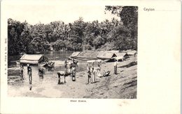 ASIE - SRI LANKA ( CEYLON -- River Scene - Sri Lanka (Ceylon)