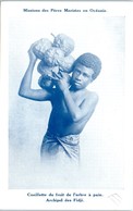 Delcampe - OCEANIE - FIDJI -- Cueillette Du Fruit De L'arbre à Pain - Fiji