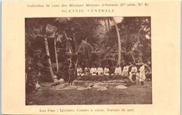 Delcampe - OCEANIE - FIDJI - Ignames , Cannes à Sucre , Tortue De Mer - Fiji