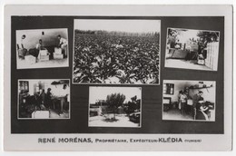 TUNISIE Carte Photo KLEDIA - RENE MORENAS , PROPRIETAIRE , EXPEDITEUR - Tunesië