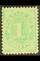 POSTAGE DUE 1902 1s Emerald Green, SG D19, Very Fine Mint. For More Images, Please Visit Http://www.sandafayre.com/itemd - Andere & Zonder Classificatie