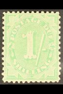 POSTAGE DUES 1908 1s Dull Green, Stroke After Figure Of Value, Perf 11½ X 11. SG D58, Very Fine Mint. For More Images, P - Autres & Non Classés